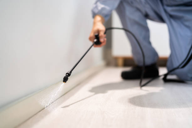 Licensed Termite Control service in Metlakatla, AK - Nex Pest Control