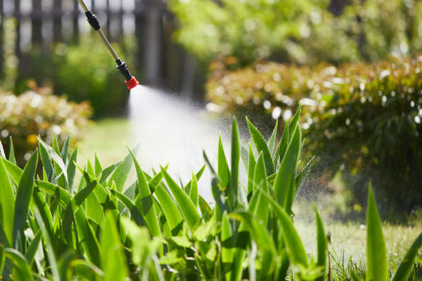 24/7 Emergency Termite Control experts in Metlakatla, AK