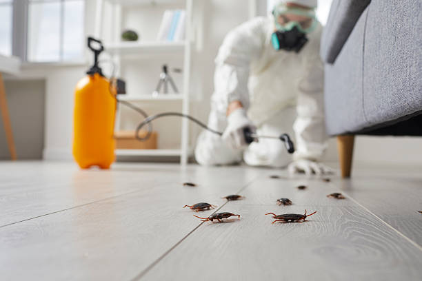 Trusted Cockroach Control service in Metlakatla, AK - Nex Pest Control