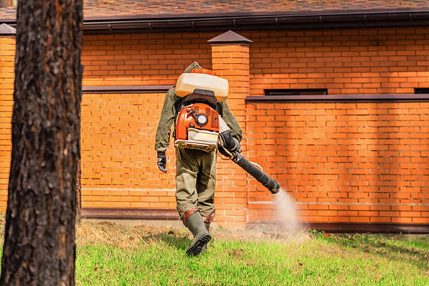 Trusted Ant Control service in Metlakatla, AK - Nex Pest Control